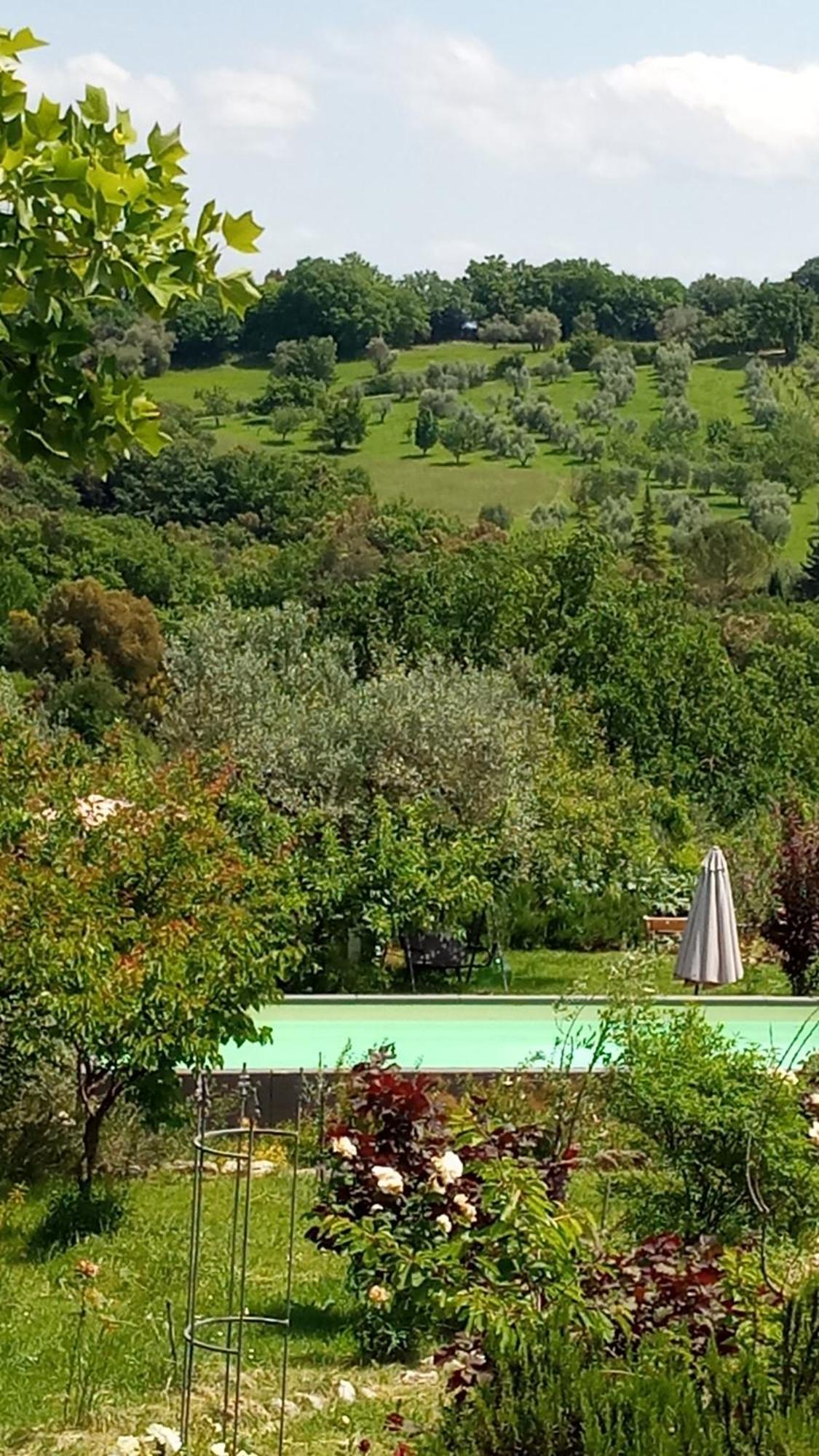 B&B&Wellness Il Pomario di Montepiglio Resort Naturista Amelia Esterno foto